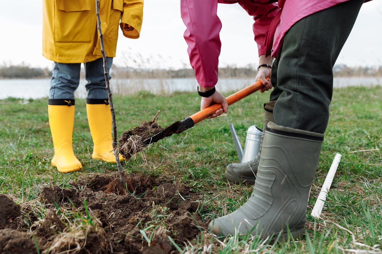 Two adults planting a tree sapling on grassy land near a lake.